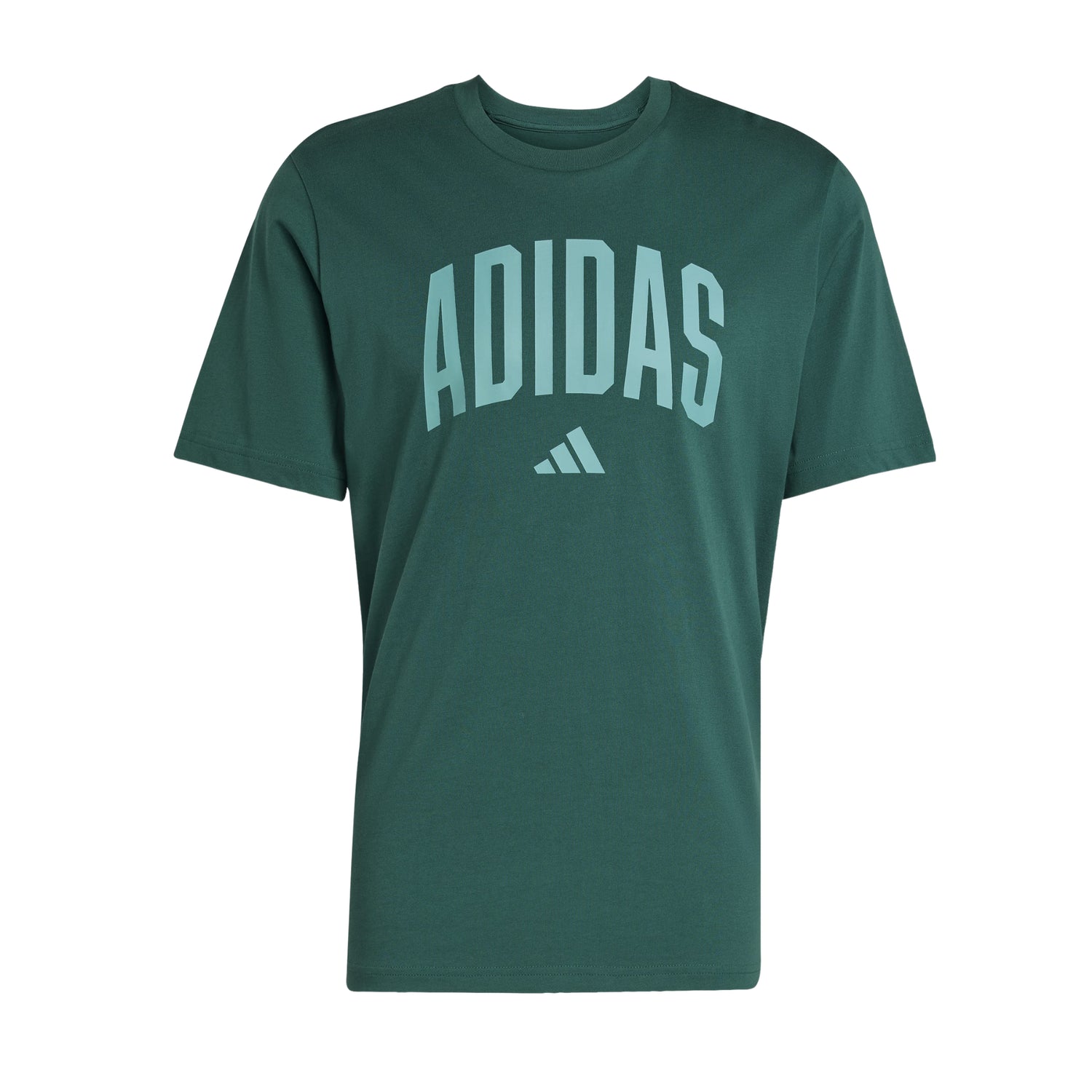 T-shirt Grafica Collegiate Lineage Uomo - KA7135