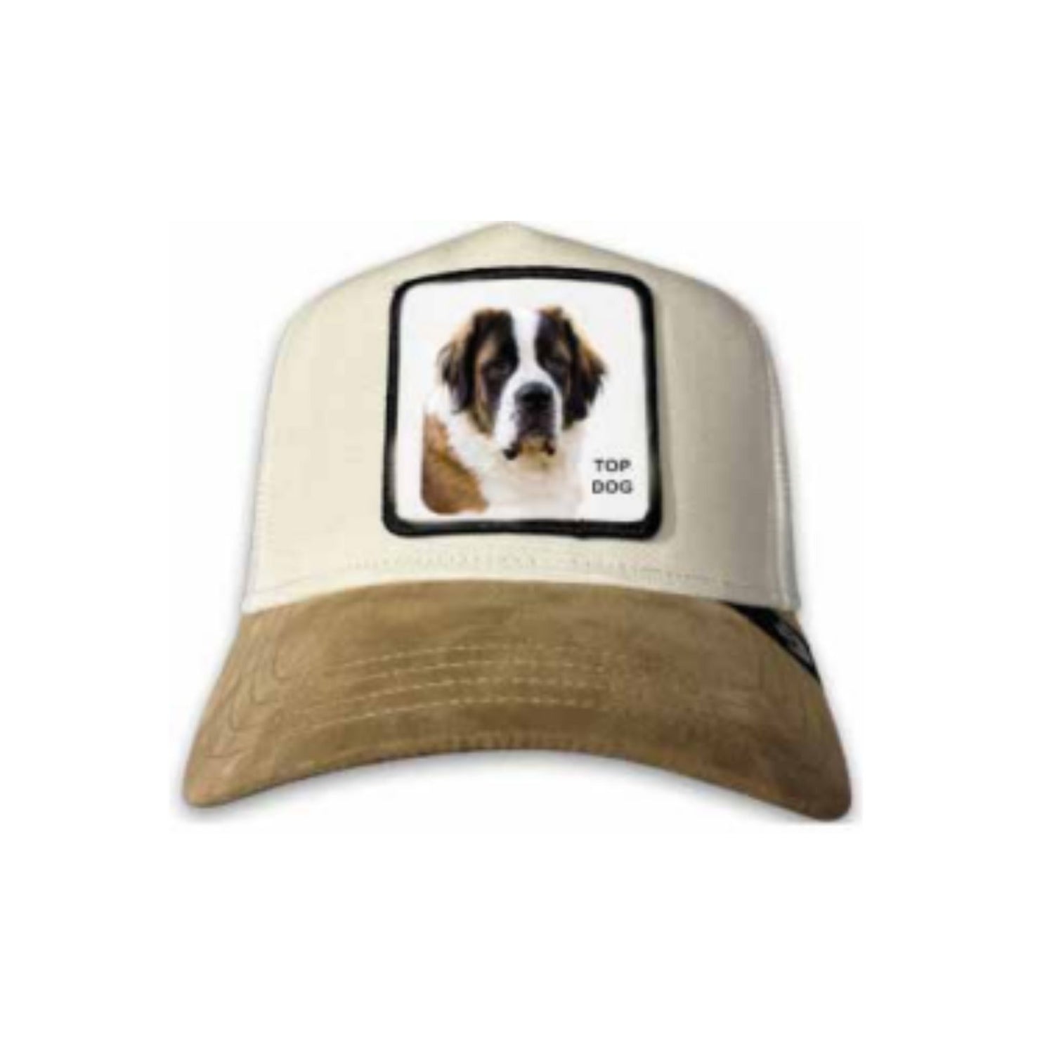 101-1812 THE SUEDE ST BERNARD Unisex adulto GOORIN BROS CAPPELLO CON VISIERA